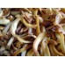 Jack Fruit Chips(Masala)-250gms